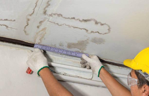 Reliable Flood Cleanup contractor in Bound Brook, NJ by Water Damage Irwin